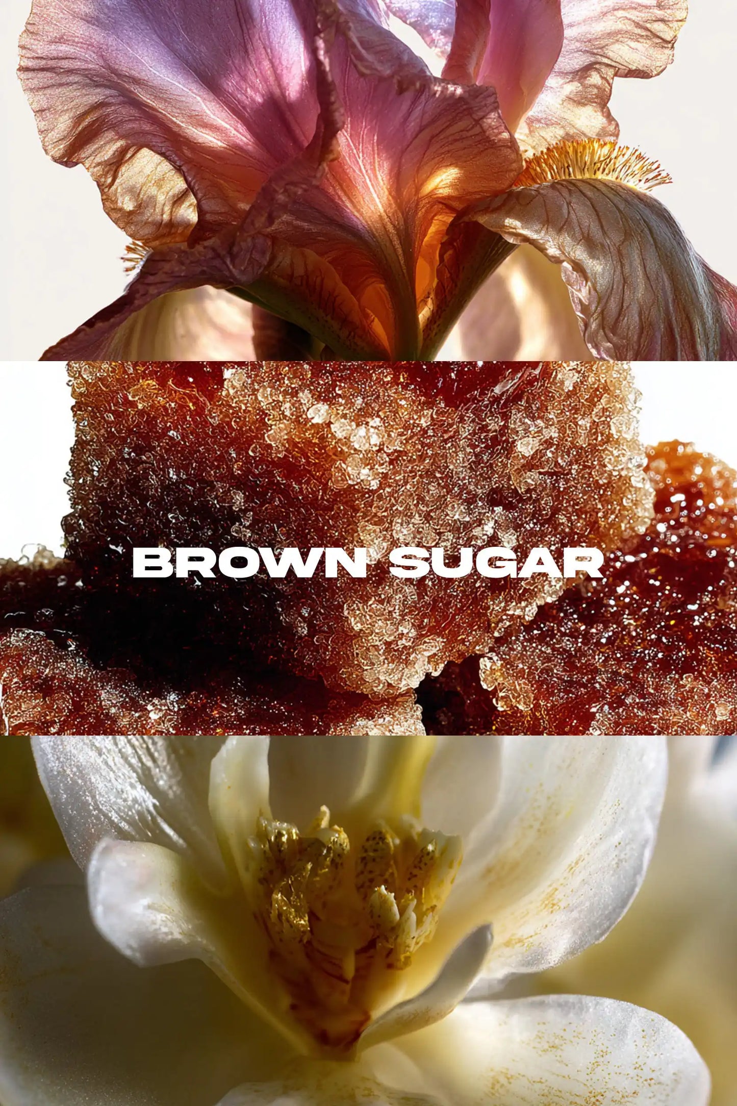 BROWN SUGAR
